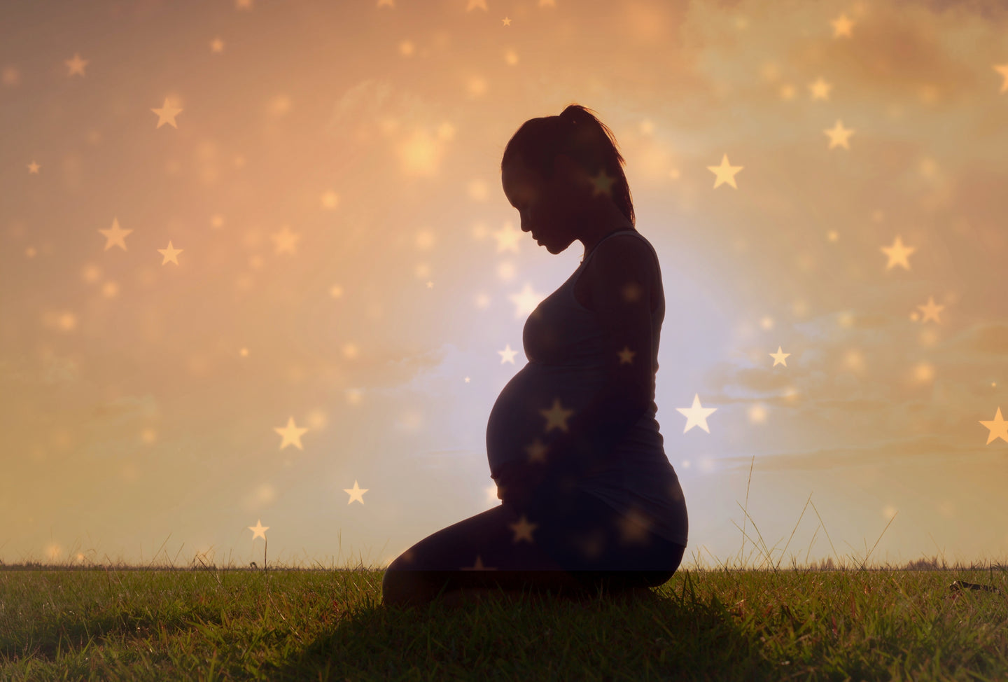 Sacred Birth Support Services